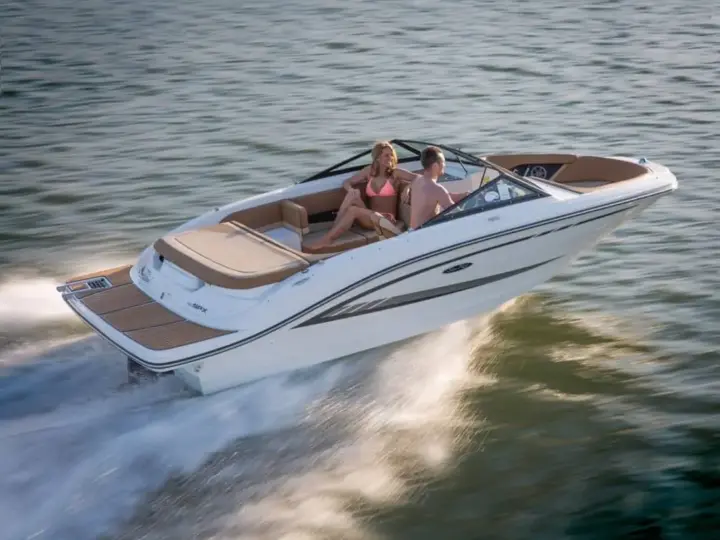 Sea Ray SPX 190
