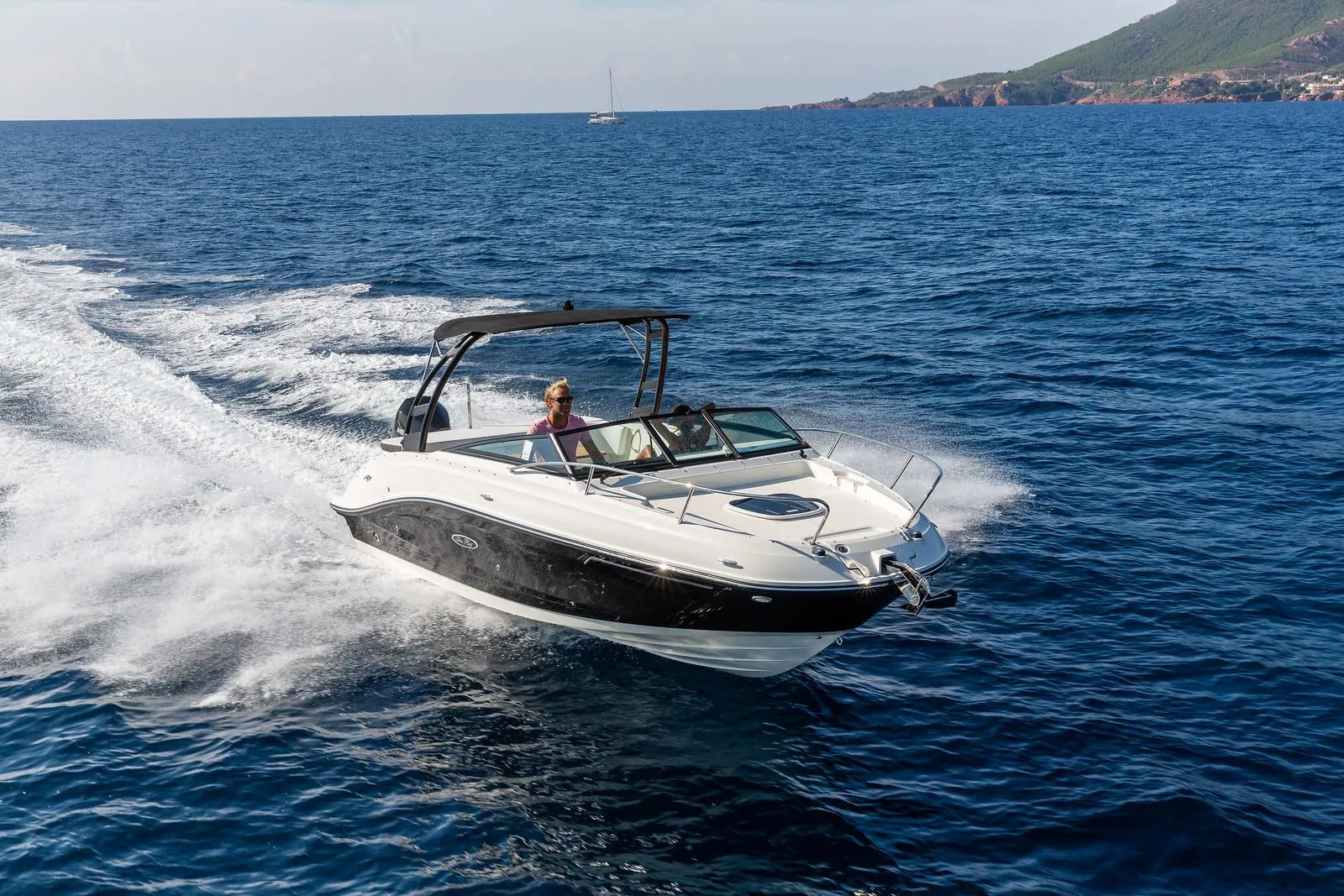 Sea Ray 230