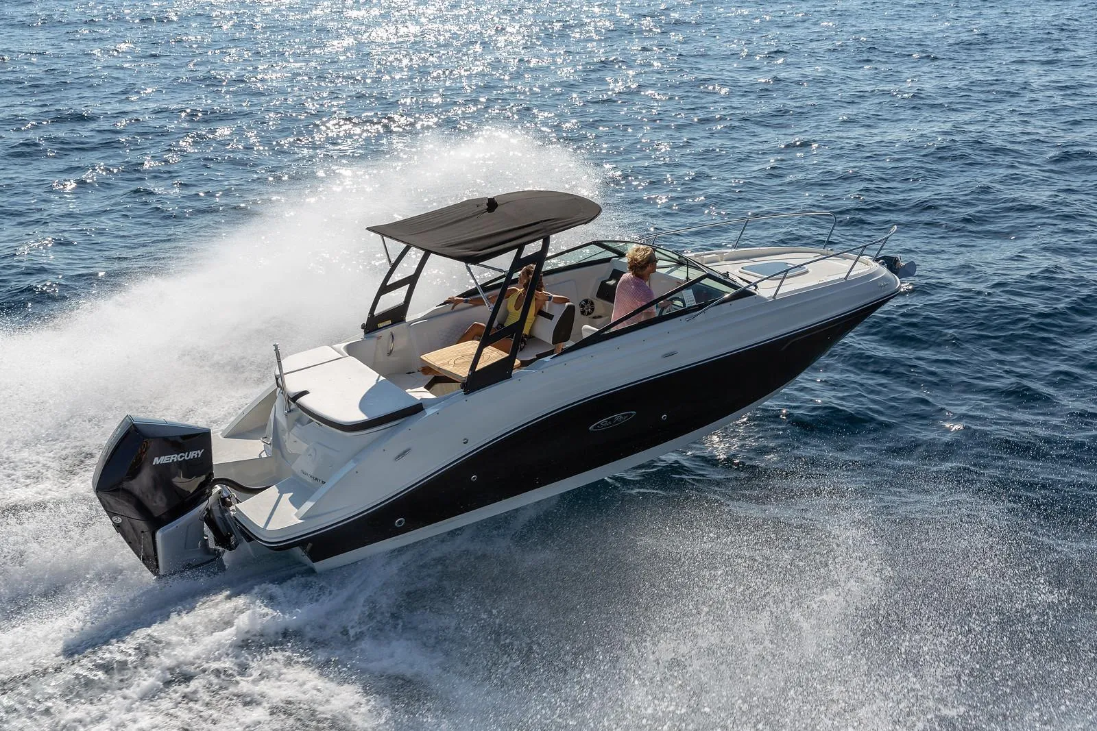 Sea Ray 230