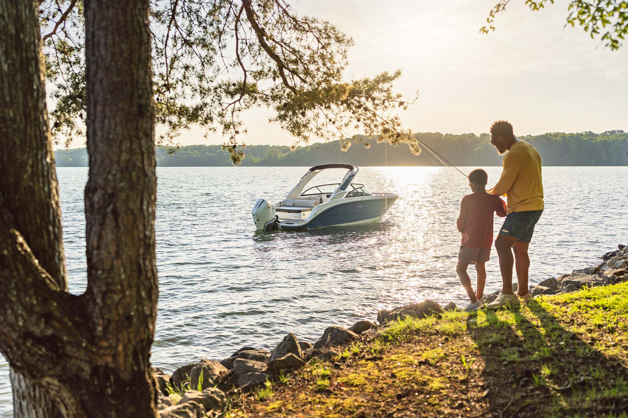 Sea Ray SDX 230