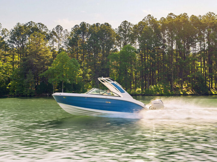Sea Ray SDX 230