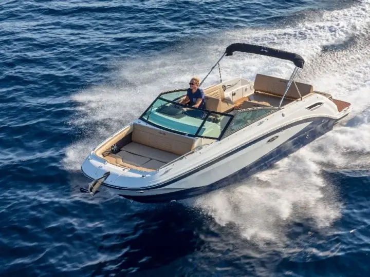 Sea Ray SDX 250