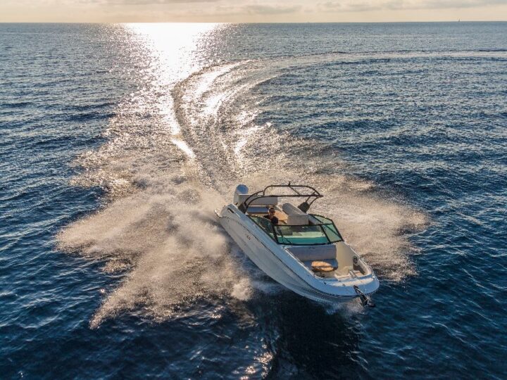 Sea Ray SDX 250 OB