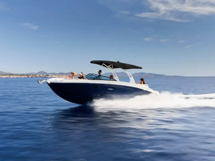 Sea Ray SDX 270