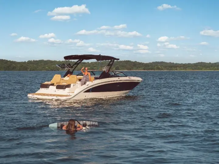 Sea Ray SDX 290