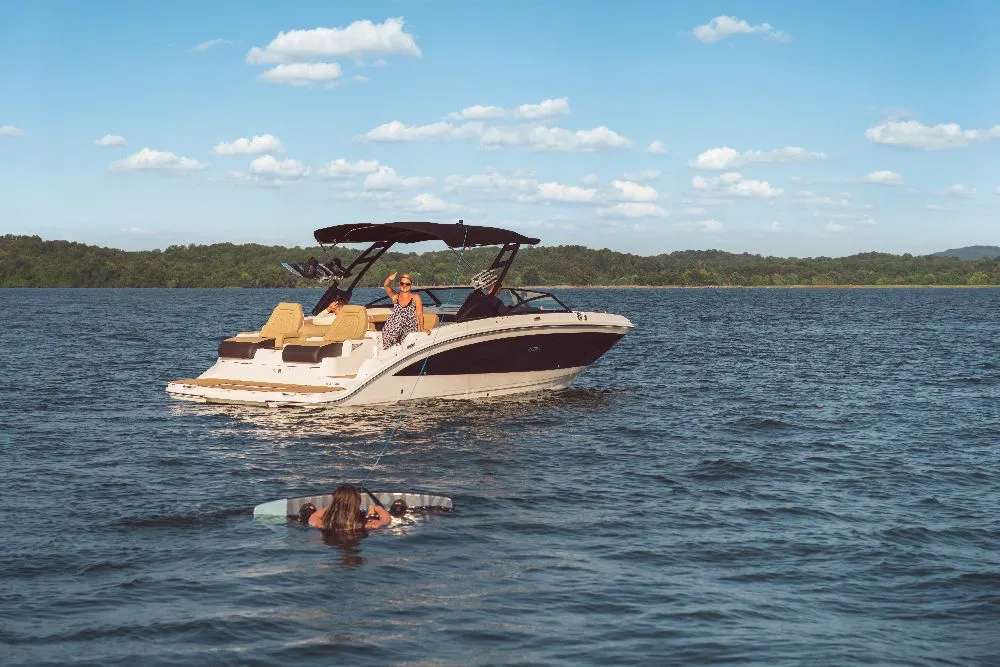 Sea Ray SDX 290
