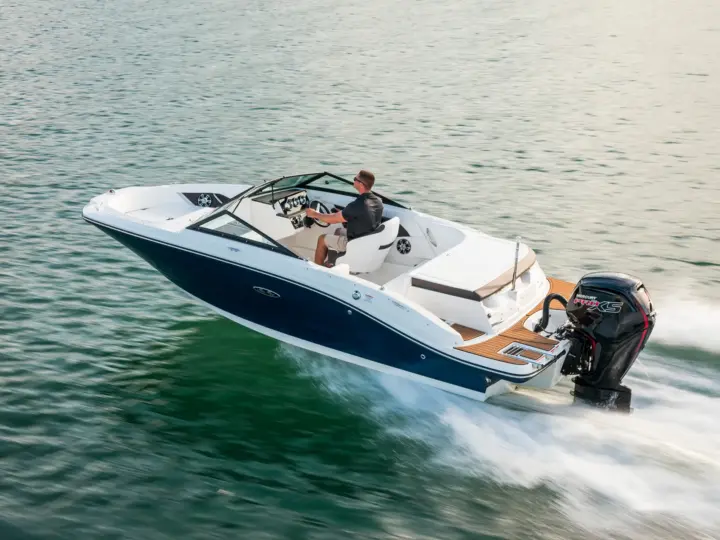 Sea Ray SPX 190 OB