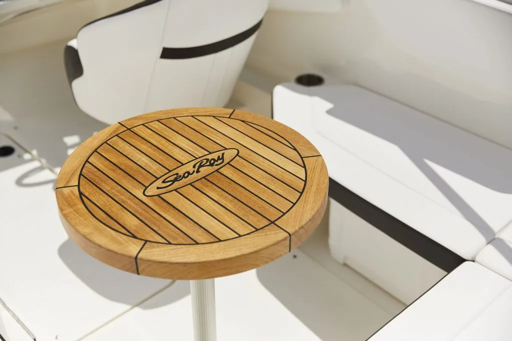 Sea Ray SPX 210
