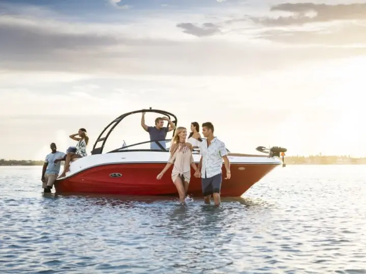 Sea Ray SPX 230 OB