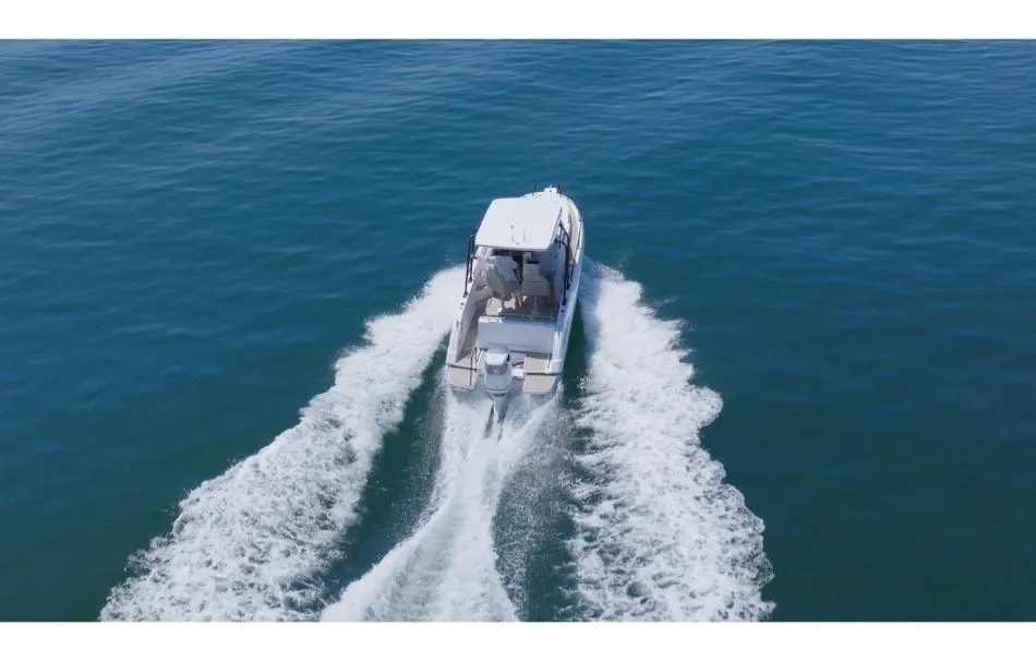 RODMAN 790 SD VENTURA