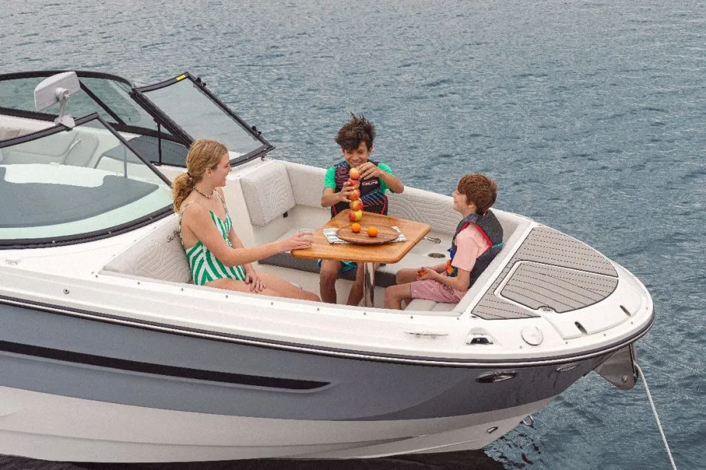 SEA RAY SDX 270 SURF