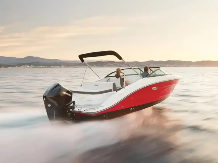 SEA RAY SPX 210 OB