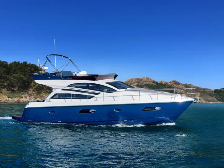 RODMAN MUSE 44